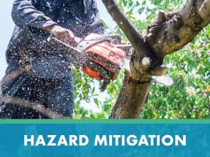 Hazard Mitigation